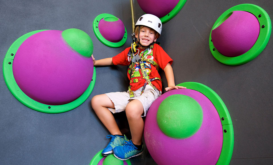 Rock Climbing Funwall