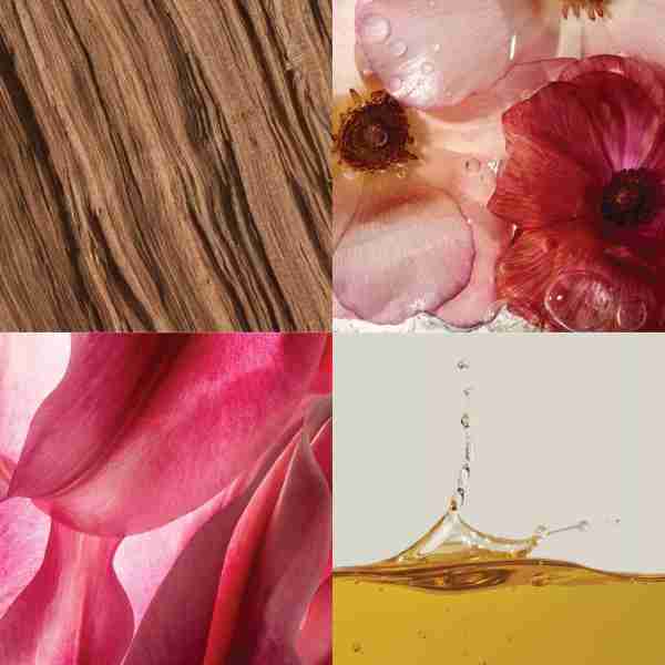 The Cosmetics Company Store Luxury Fragrance 40 OFF